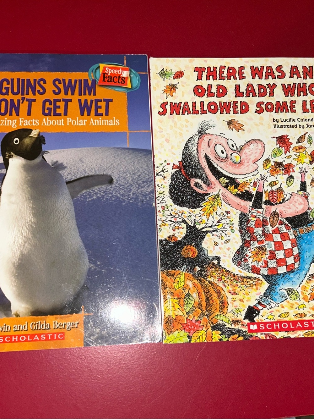 Children's Book Bundle - Picture 12 of 16